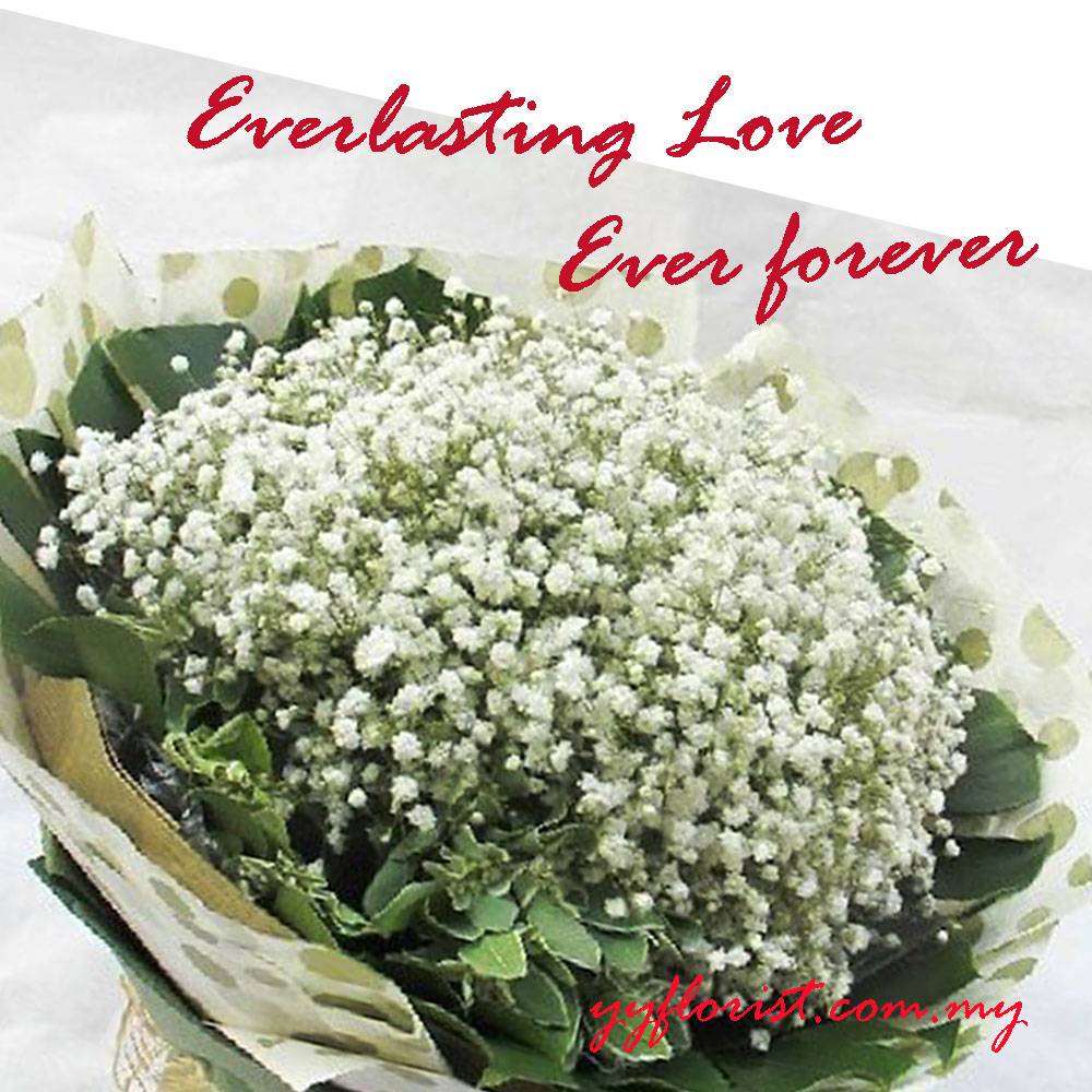 Baby Breath bouquet|KL Florist |Kuala Lumpur Online ...